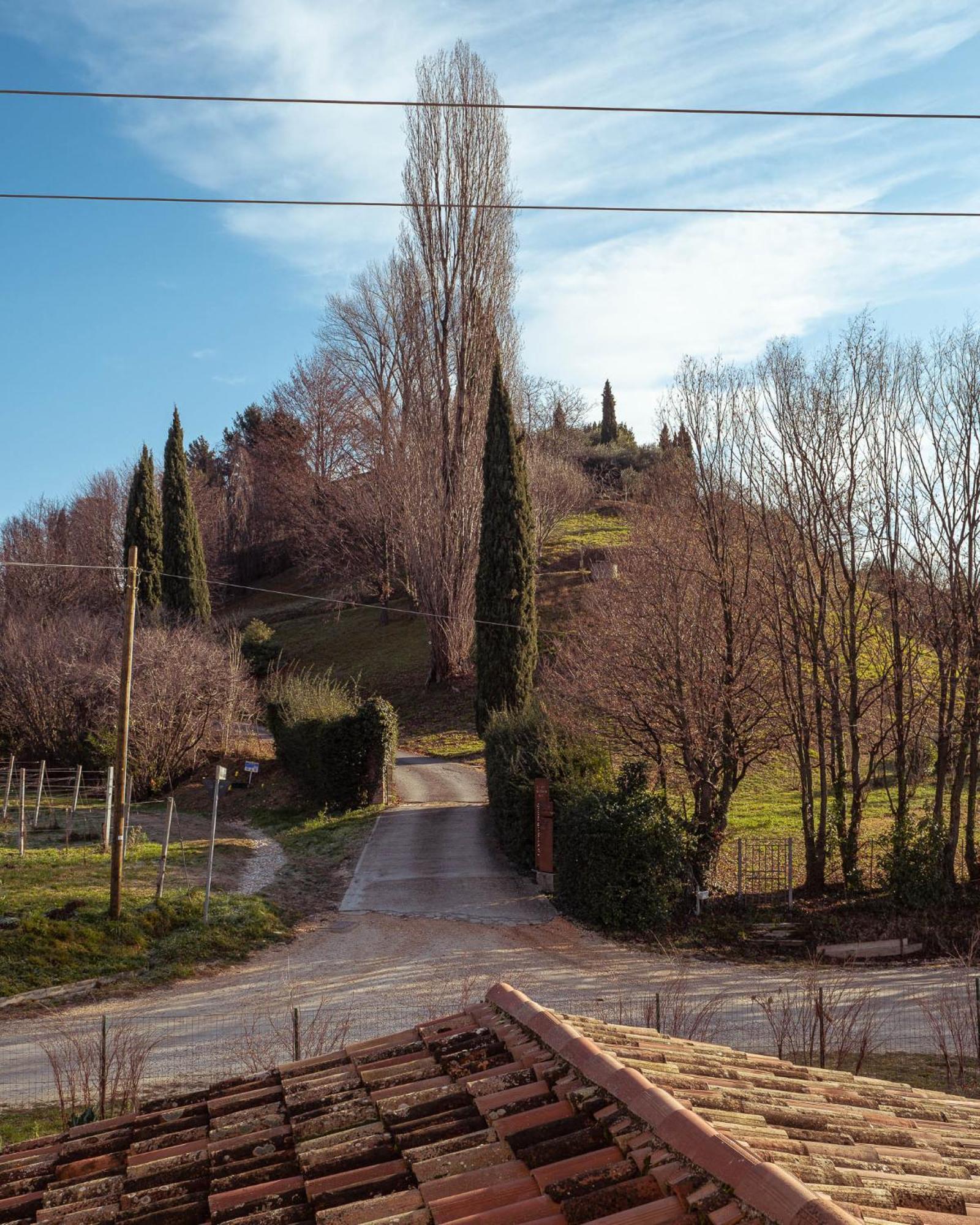 Agriturismo La Vigna Di Sarah Bed & Breakfast Vittorio Veneto Exterior photo